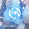 HR Consultant