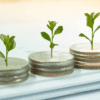 SEED Fund